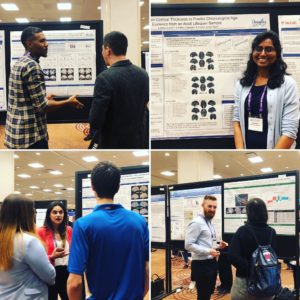 CAN 2019 Poster Presentations